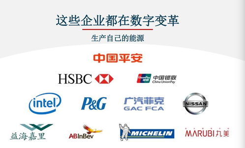 對標Adobe，Nequal如何以數據與技術雙引擎賦能企業智慧商業